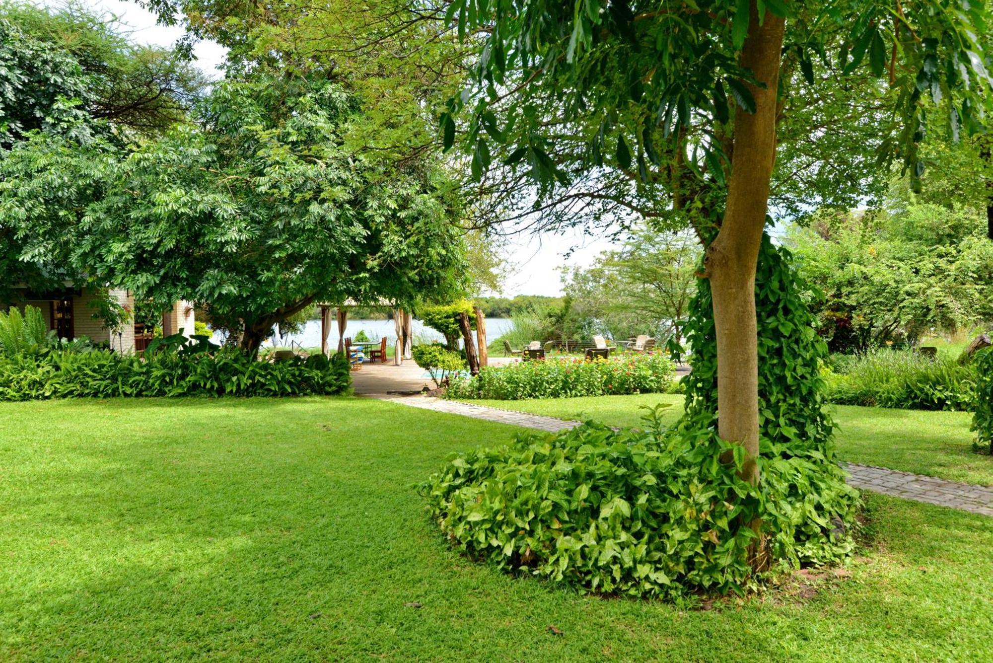 River View Lodge Kasane Bilik gambar