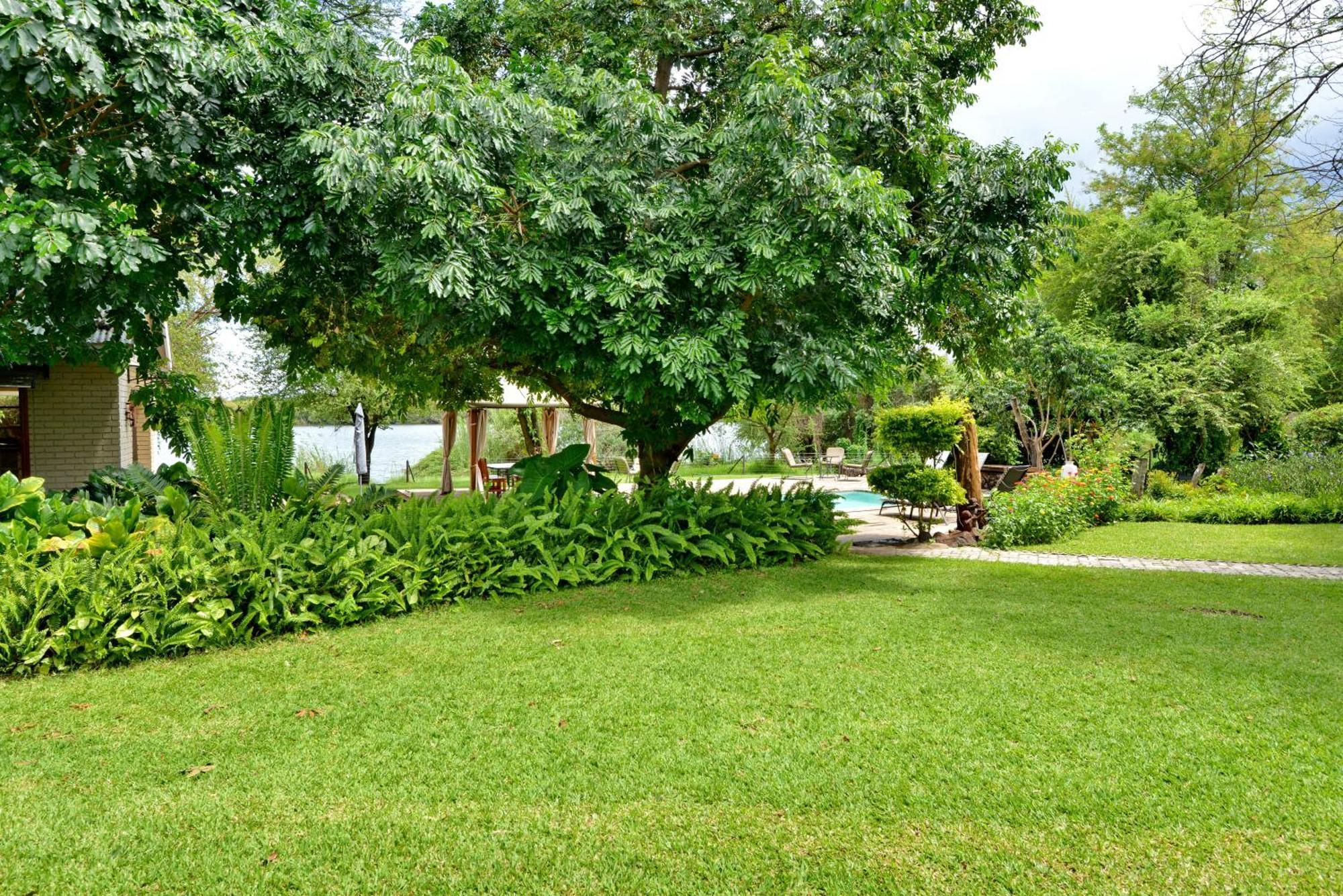 River View Lodge Kasane Bilik gambar