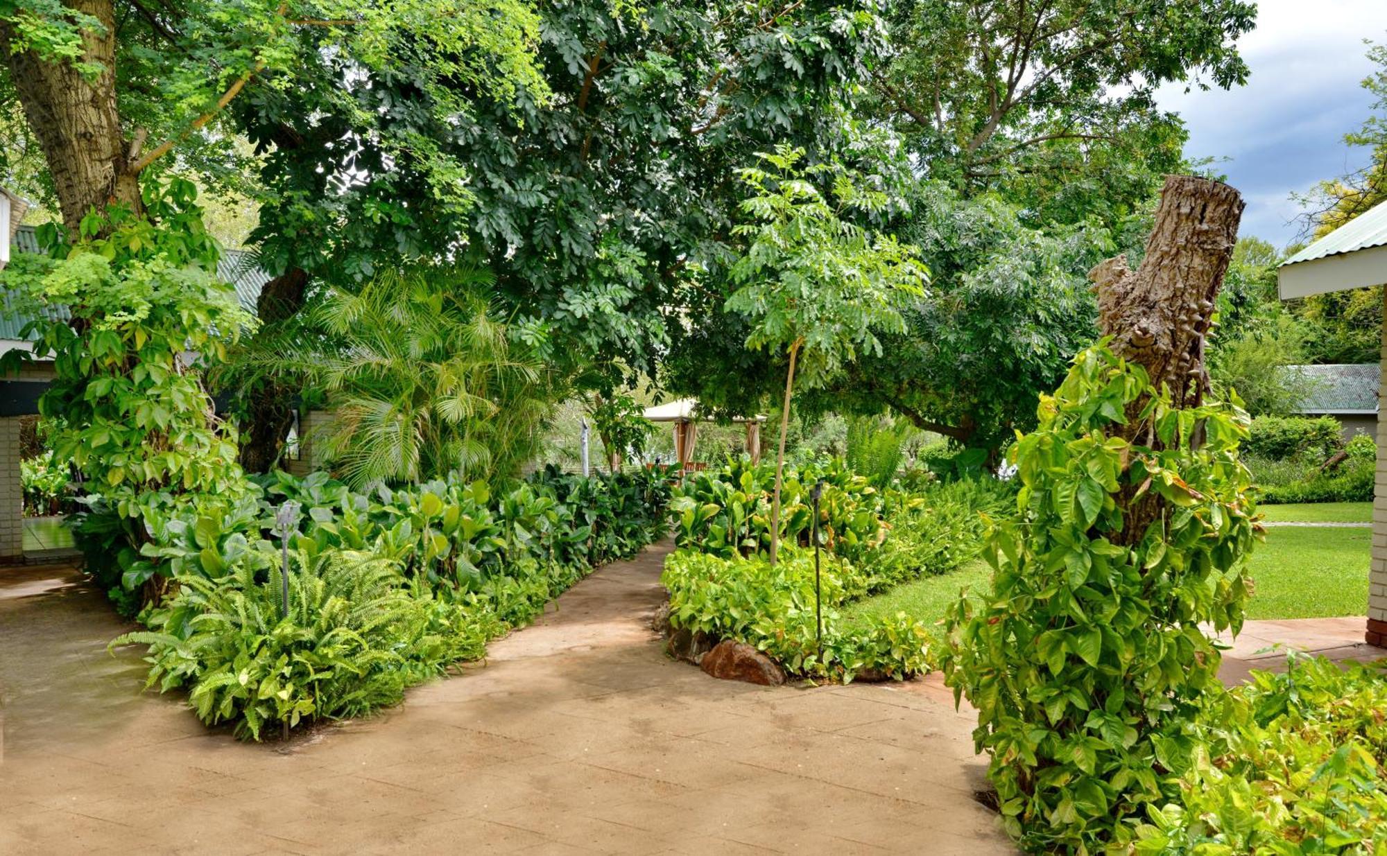 River View Lodge Kasane Bilik gambar
